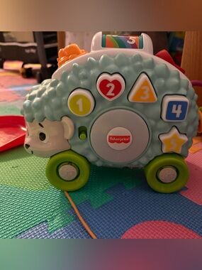 Fisher-Price Light Blue and Green Hedgehog Number Pull Toy with Colorful Buttons